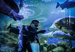 Underwater World Pattaya